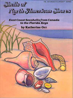 Shells of North American Shores