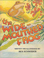 The Wide-Mouthed Frog